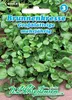 Brunnenkresse Großblättrige | Kressesamen von N.L. Produktbild-Vorschau 1