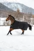 Bucas Irish Turnout Light 50g High Neck Weidedecke 1200D Produktbild-Vorschau 5