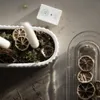 A decorative arrangement with candles, dried citrus slices, and moss in a white oval dish, next to a glass container with more dried citrus slices. Produktbild-Vorschau