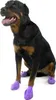 Pawz wasserfeste Hundeschuhe aus Naturkautschuk im Produktbild-Vorschau 9