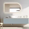 HOKO Badspiegel Bogen LED 60x100cm mit Metallrahmen, Produktbild-Vorschau 9