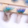 Piume di pavone vere, 5-8cm blu verde, materiale per Anteprima dell’immagine prodotto 4