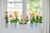 elho brussels Orchidee Hoch 12,5cm Übertopf - transparent Produktbild-Vorschau 12