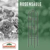 Gardebruk Obelisco per Rose Piante Rampicanti 200 x 40cm in Anteprima dell’immagine prodotto 4