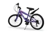 Pilot Bike 20 Zoll, Kinder Mountainbike, 6-Gang Shimano Produktbild-Vorschau 2