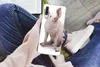 MuchoWow® Handyhülle Schutzhülle Hülle für Samsung Galaxy Produktbild-Vorschau 3