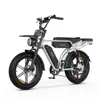 PIXAR M9 E-Bike 48V 17,5Ah Akku (100km), 250W Heckmotor, Produktbild-Vorschau 14