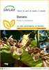 SAFLAX  - Banano  - 10 semi - Musa Anteprima dell’immagine prodotto 1