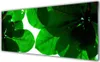 Acrylglasbilder 125x50 Wandbild Druck Blätter Pflanzen Produktbild-Vorschau 1