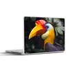 MuchoWow® Laptop Aufkleber Sticker Cover Vogel - Hornvogel Produktbild-Vorschau 1