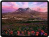 Tablet Apple iPad Pro 13 13" M4 8 GB RAM 256 GB Produktbild-Vorschau 11