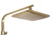 A close-up view of a modern gold shower head and arm against a white background. Produktbild-Vorschau