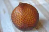Salak (Salacca zalacca)  – 1 naklíčené semeno Náhled obrázku produktu 2