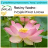 SAFLAX - Zestaw prezentowy - Indyjski Kwiat Lotosu - 8 Podgląd zdjęcia produktu 10