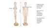 Mont Marte Mannequin/poupée articulée en bois - 30cm de Voir les images du produit 3