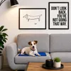 lionto Kühlmatte, angenehme Abkühlung für Hunde & Katzen, Produktbild-Vorschau 2