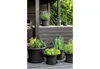 orthex Blumentopf BOTANICA Durchmesser: 400 mm schwarz Produktbild-Vorschau 4