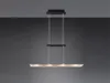 Trio Leuchten LED Pendelleuchte Milos 4x5W schwarz, Metall Produktbild-Vorschau 12