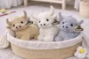 Highland Kuh Plüschtier Kuscheltier Schottisches Produktbild-Vorschau 4