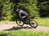 SachsenRAD E-Racing Mountainbike M5 Centro, 29 Zoll MTB mit Produktbild-Vorschau 3