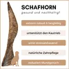 A dog horn chew toy with descriptive text. Produktbild-Vorschau