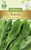 Rukola Salatrauke | Rucolasamen von N.L. Chrestensen Produktbild-Vorschau 1