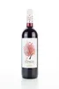 Ionos rot trocken 0,75l Cavino Produktbild-Vorschau 2