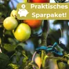 6er Set  10 St.Pflanzenclips Set Pflanzenhalter Produktbild-Vorschau 6