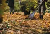 Two people raking leaves in a yard during autumn. Náhľad obrázku produktu