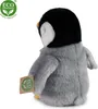 RAPPA Pluszowy pingwin 20 cm ECO-FRIENDLY Podgląd zdjęcia produktu 13