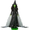 Wicked Elphaba Deluxe-Modepuppe Movie 2 Produktbild-Vorschau 9