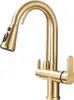 A close-up studio shot of a gold kitchen faucet. Podgląd zdjęcia produktu