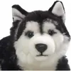 Carl Dick Husky, nero, sdraiato circa 32cm totale 2783 Anteprima dell’immagine prodotto 2