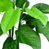 Decovego Umelá arónia (Araceae Arum Taro), umelá rastlina z Náhľad obrázku produktu 3