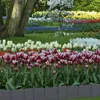 Jiubiaz 10 Stück 2,5 M Rasenkante Stein Beeteinfassung Produktbild-Vorschau 6