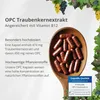 VitaCare OPC Traubenkernextrakt, 60 hochdosierte Kapseln, Produktbild-Vorschau 6