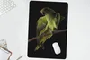 MuchoWow® Mauspad Mousepad Papagei - Vogel - Zweig 40x60 cm Produktbild-Vorschau 5
