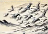 Eleganz der Kraniche - Majestätische Vögel in poetischer Produktbild-Vorschau 4