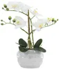 Kunst-Pflanze Orchidee ovaler Topf weiß hochglanz und weiße Produktbild-Vorschau 4