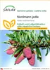 SAFLAX - Nordmann jedle - Abies nordmanniana - 20 Semena Náhled obrázku produktu 1