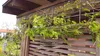 3x Rankgitter 150 cm - Rankhilfe Garten - Staudenhalter - Produktbild-Vorschau 5
