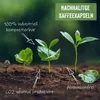 A coffee bean growing into a plant, illustrating sustainability. Produktbild-Vorschau