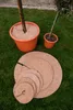 MC.Sammler Kokos-Mulchscheibe - Ø 20 cm - 1 Stück | Produktbild-Vorschau 6