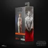 Hasbro Star Wars: Andor - Senátor Mon Mothma F55305X0 Náhled obrázku produktu 12