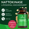 Vitabay Nattokinase 2.000 FU – 180 vegane Kapseln – Produktbild-Vorschau 3