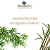 HaGaFe Terra Line  Bambuserde Pflanzerde 2 x 50 Liter Produktbild-Vorschau 4