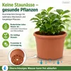 Pflanztopf Fiona Terrakotta Ø 15cm - Frostsicher & Produktbild-Vorschau 5
