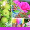 Yankee Candle Art In The Park, Zylinder, Kiefer, Apfel, Produktbild-Vorschau 8