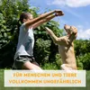 Florfliegenlarven gegen Blattläuse, Spinnmilben, Thripse & Produktbild-Vorschau 6