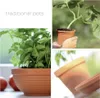 A collage of images showing traditional terracotta pots with plants. Náhľad obrázku produktu